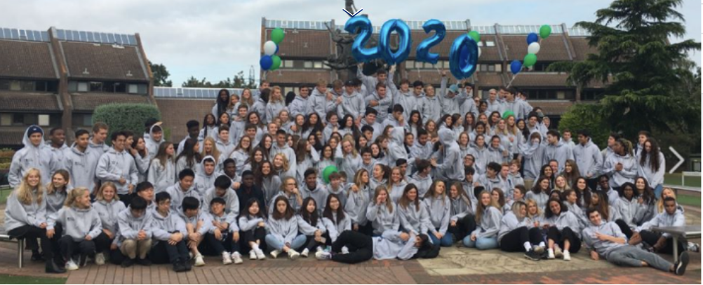 IB results 2020