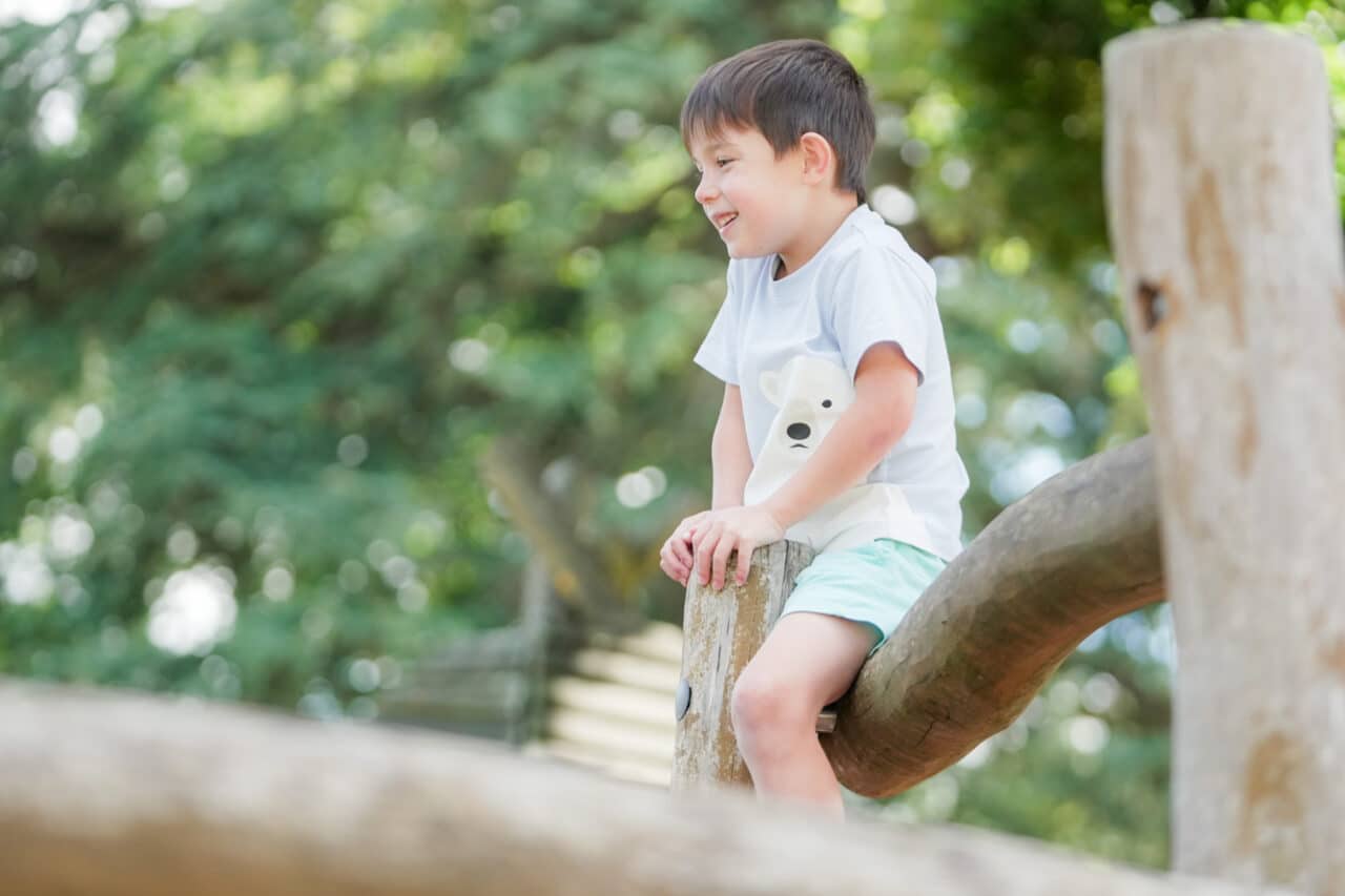 School Calendar ACS Egham